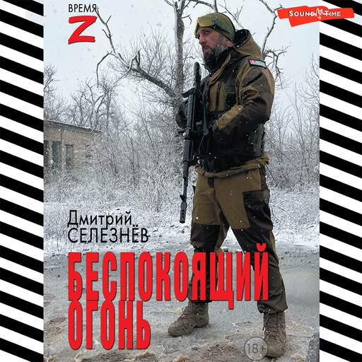 Беспокоящий огонь, Дмитрий Селезнёв