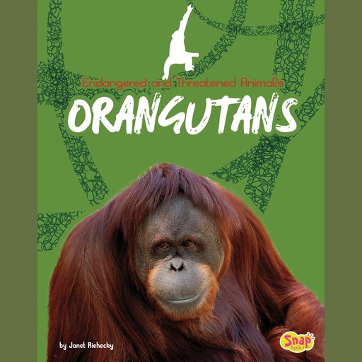 Orangutans, Janet Riehecky