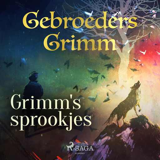 Grimm's sprookjes, De Gebroeders Grimm