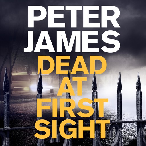 Dead at First Sight, Peter James