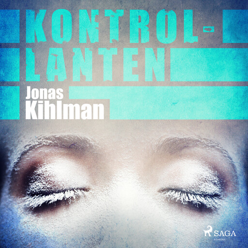 Kontrollanten, Jonas Kihlman