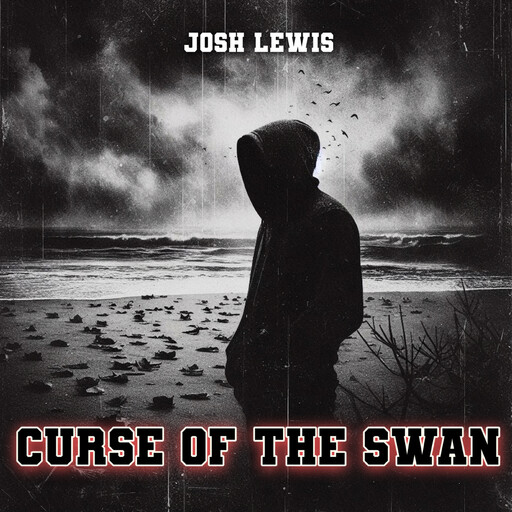 I Think You Will, Josh Lewis