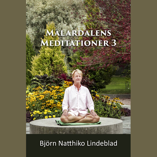 Mälardalens Meditationer 3, Björn Natthiko Lindeblad