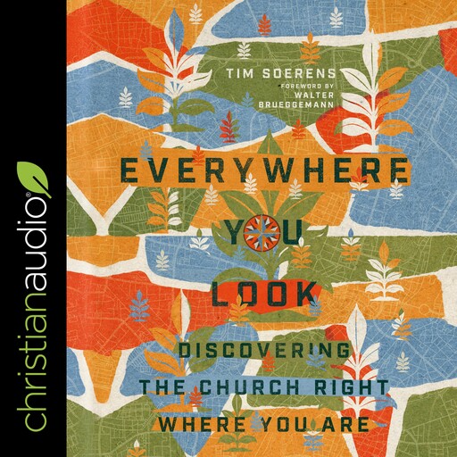 Everywhere You Look, Walter Brueggemann, Tim Soerens
