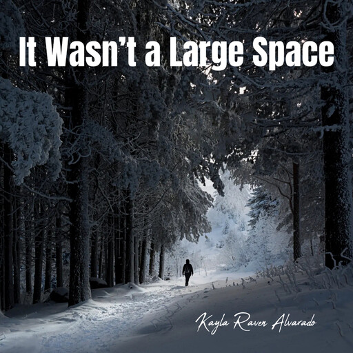 It Wasn’t a Large Space, Kayla Raven Alvarado