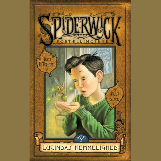 Lucindas hemmelighed, Holly Black