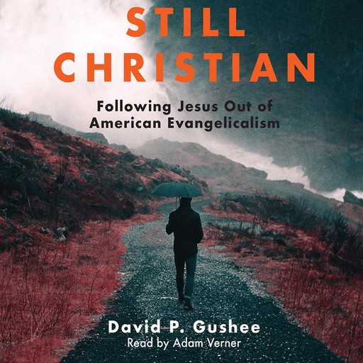 Still Christian, David Gushee
