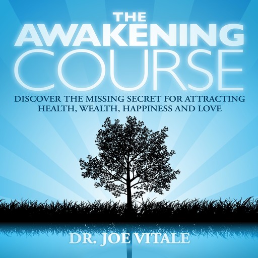 The Awakening Course, Vitale Joe