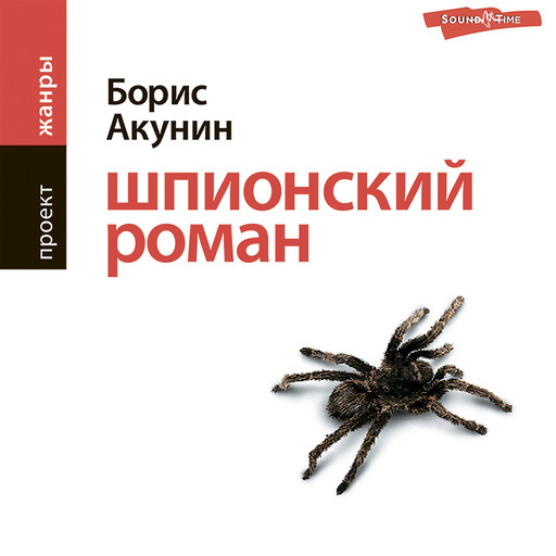 Шпионский роман, Борис Акунин