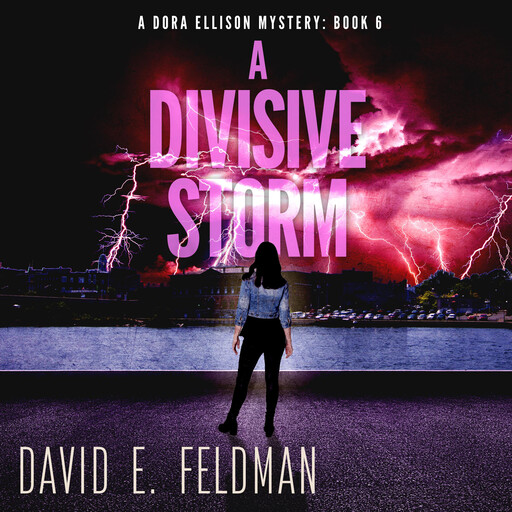 A Divisive Storm: A Gripping Mystery Thriller, David Feldman
