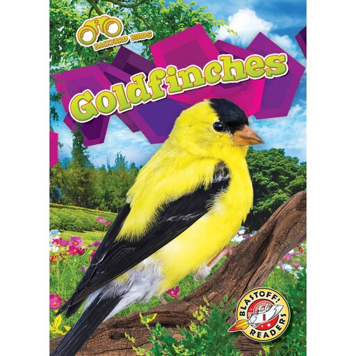 Goldfinches, Elizabeth Neuenfeldt