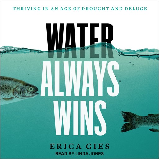 Water Always Wins, Erica Gies