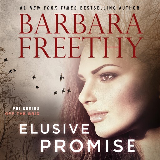 Elusive Promise, Barbara Freethy