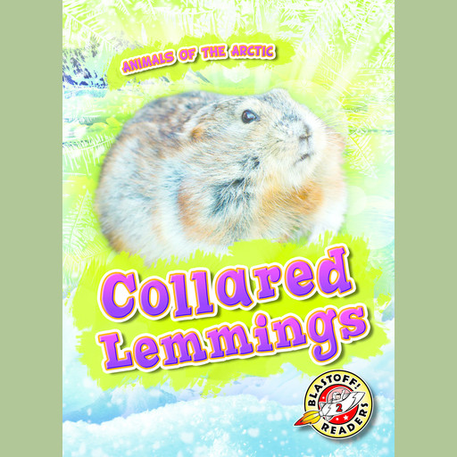 Collared Lemmings, Rebecca Pettiford