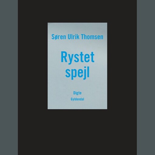 Rystet spejl, Søren Ulrik Thomsen