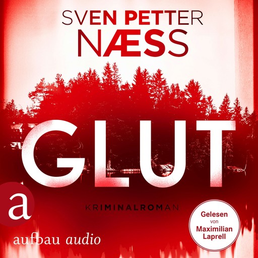 Glut - Team Oslo ermittelt, Band 1 (Gekürzt), Sven Petter Naess