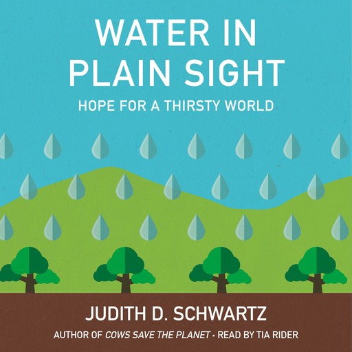 Water in Plain Sight, Judith D.Schwartz