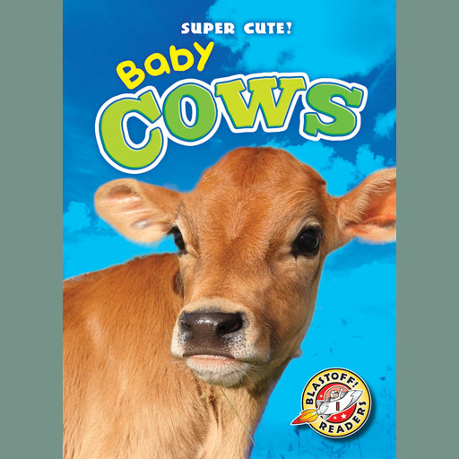 Baby Cows, Kari Schuetz