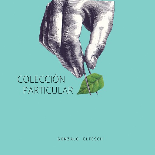 Colección particular, Gonzalo Eltesch