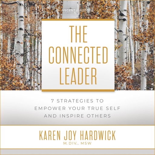 The Connected Leader, MSW, Karen Joy Hardwick MDiv