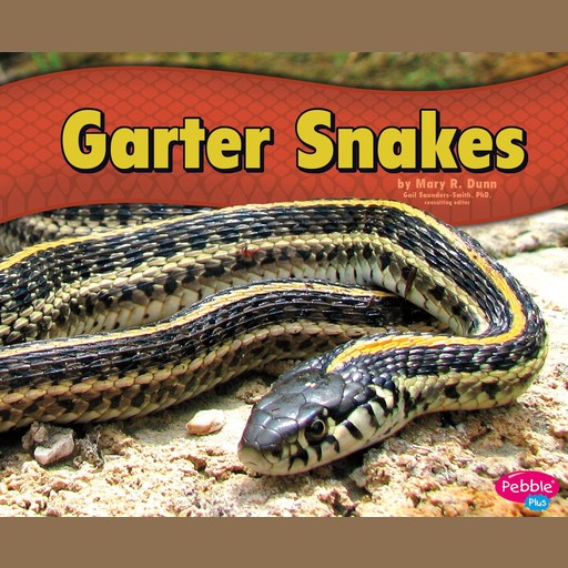 Garter Snakes, Mary Dunn