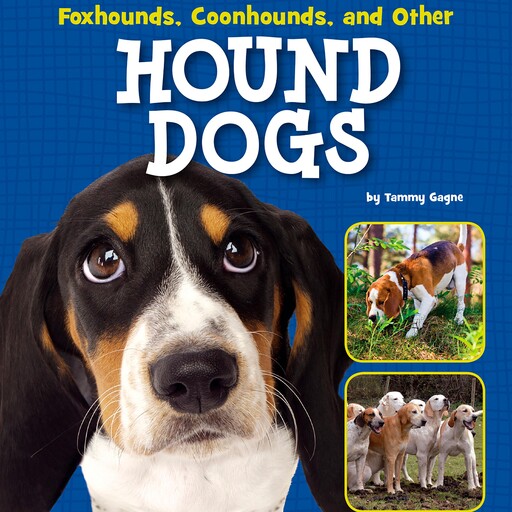 Foxhounds, Coonhounds, and Other Hound Dogs, Tammy Gagne