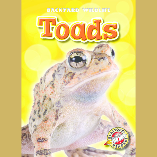 Toads, Kari Schuetz