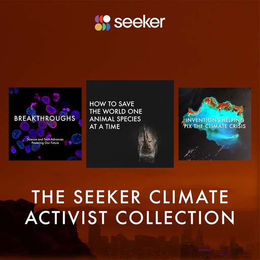 The Seeker Climate Activist Collection, Seeker