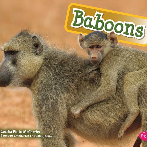Baboons, Cecilia Pinto McCarthy