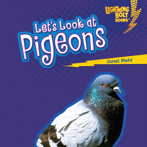 Let's Look at Pigeons, Janet Piehl