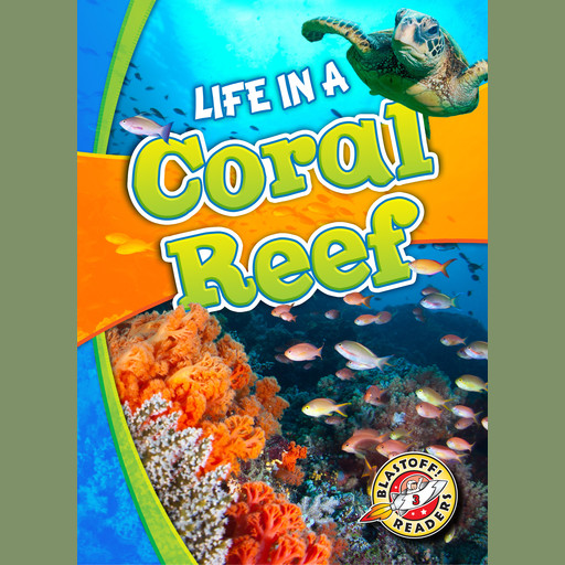 Life in a Coral Reef, Kari Schuetz