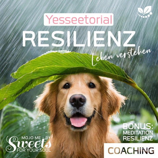 Resilienz, die 7 Säulen der mentalen Stärke, mit Selbsttest im Hörbuch zur Stärkung deiner inneren Widerstandskraft, Indi Sanders, Coco Styles