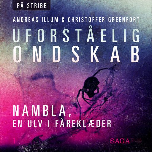 Uforståelig ondskab - NAMBLA, en ulv i fåreklæder, Andreas Illum, Christoffer Greenfort