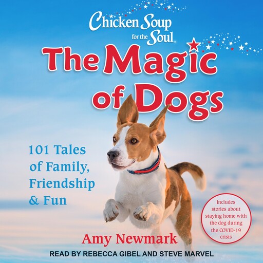 Chicken Soup for the Soul, Amy Newmark