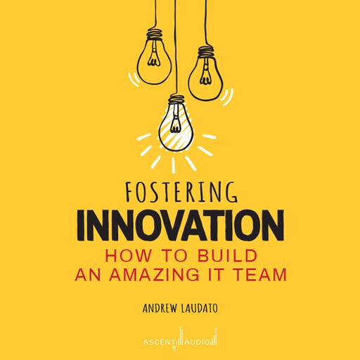 Fostering Innovation, Andrew Laudato