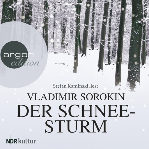 Der Schneesturm (Ungekürzt), Vladimir Sorokin