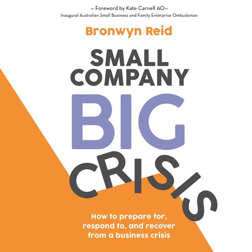 Small Company Big Crisis, Bronwyn Reid