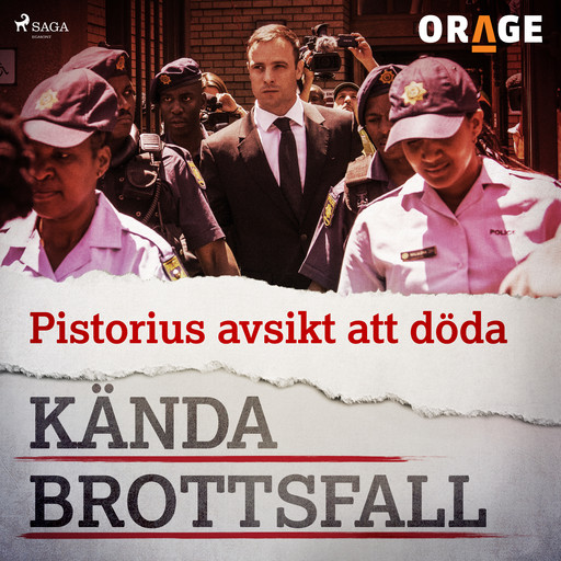Pistorius avsikt att döda, Orage