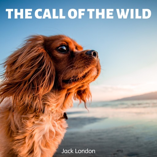 The Call of The Wild, Jack London