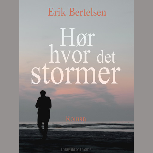 Hør hvor det stormer, Erik Bertelsen