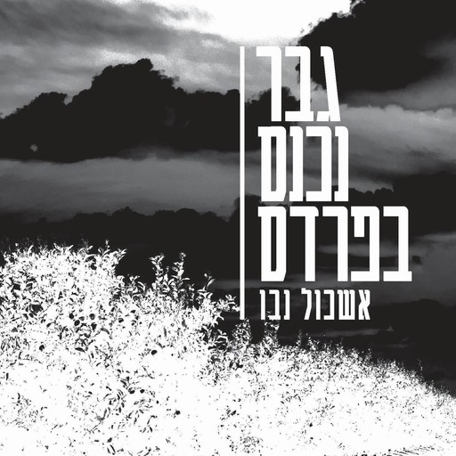 גבר נכנס בפרדס, אשכול נבו