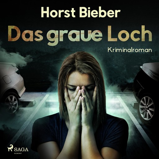 Das graue Loch (Ungekürzt), Horst Bieber