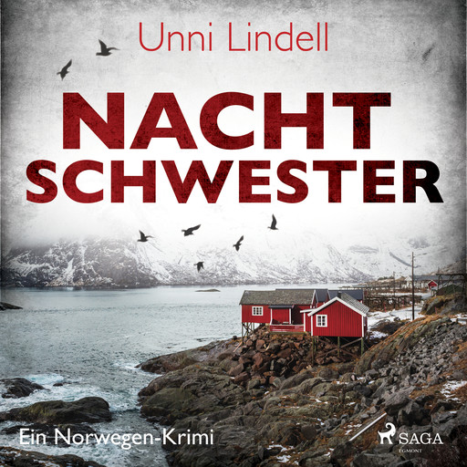 Nachtschwester - Ein Norwegen-Krimi, Unni Lindell