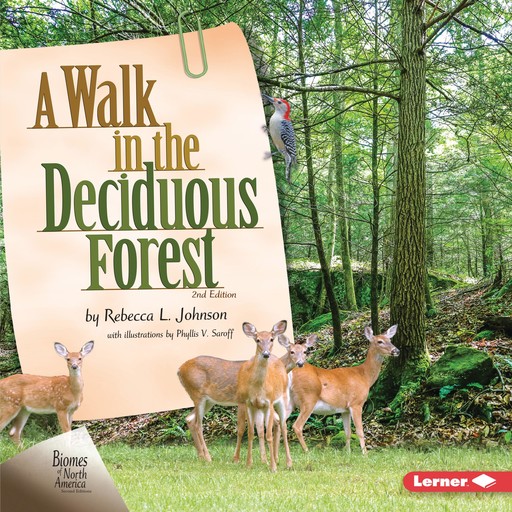 A Walk in the Deciduous Forest, 2nd Edition, Rebecca Johnson