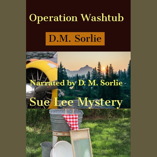 Operation Washtub, D.M. Sorlie