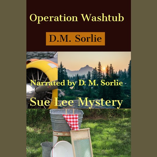 Operation Washtub, D.M. Sorlie