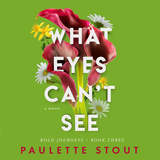 What Eyes Can't See, Paulette Stout
