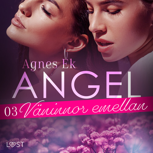 Angel 3: Väninnor emellan - Erotisk novell, Agnes Ek