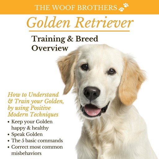 Golden Retriever Training & Breed Overview, The Woof Brothers