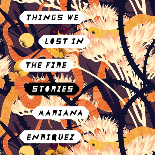 Things We Lost in the Fire, Mariana Enríquez